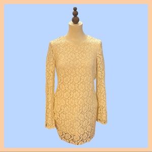 DIVIDED Lace dress fully lined, bell sleeves. Classy and SEXY.